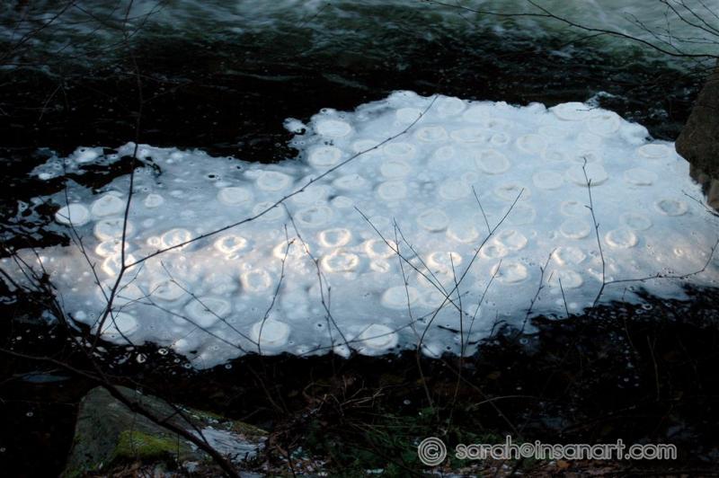 [JAN] DISTURBING FOAM DISCS BELOW FALL BROOK FALLS! (2)