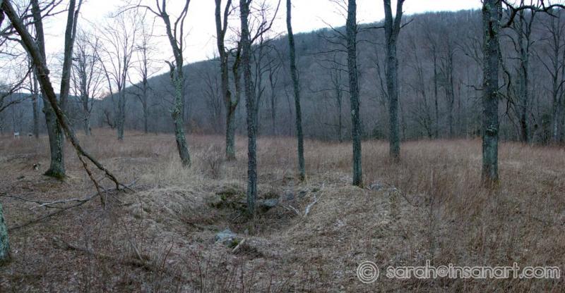 Landrus Foundations Pana 3